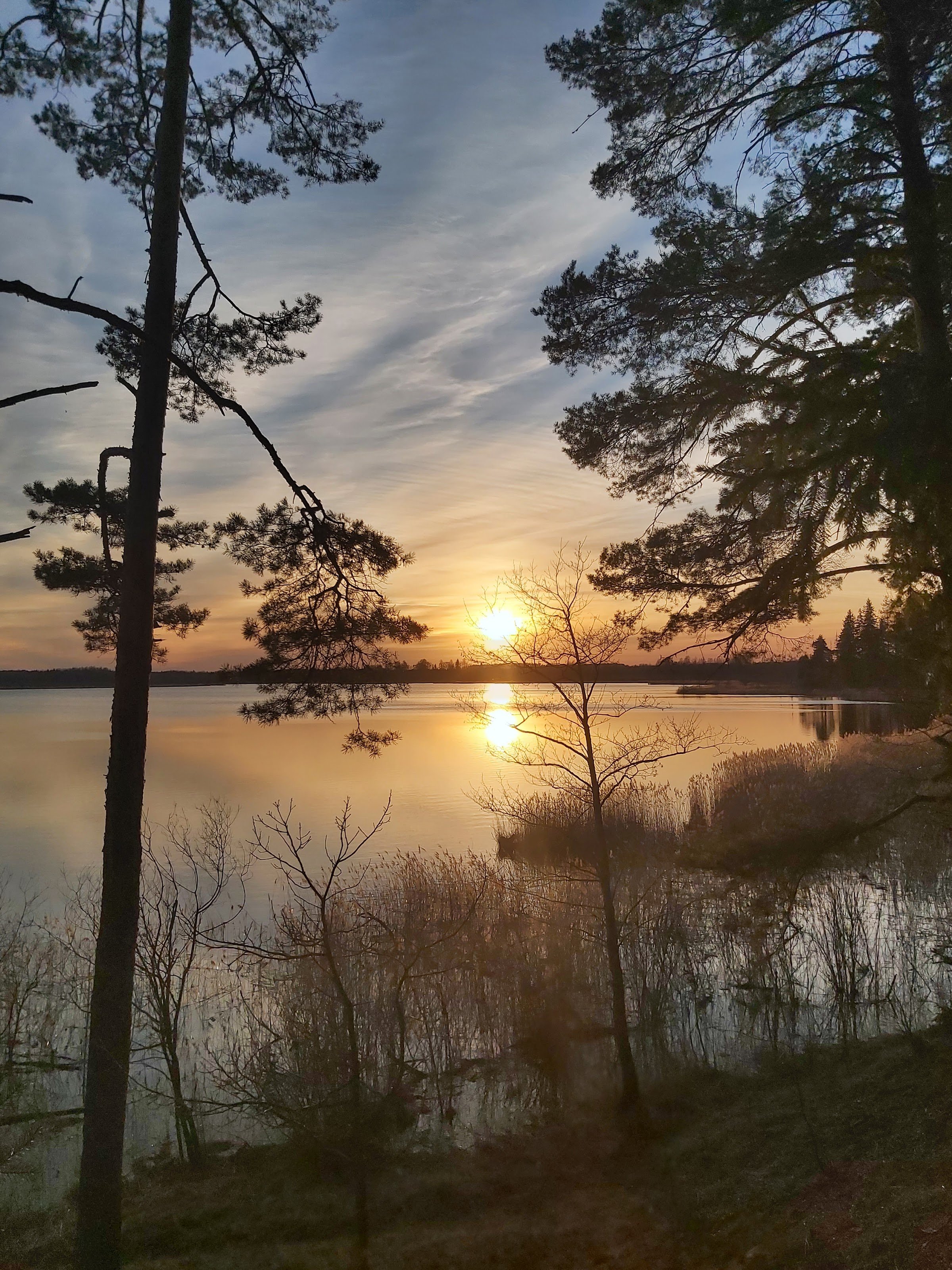 RMK Jõemõisa lõkkekoht